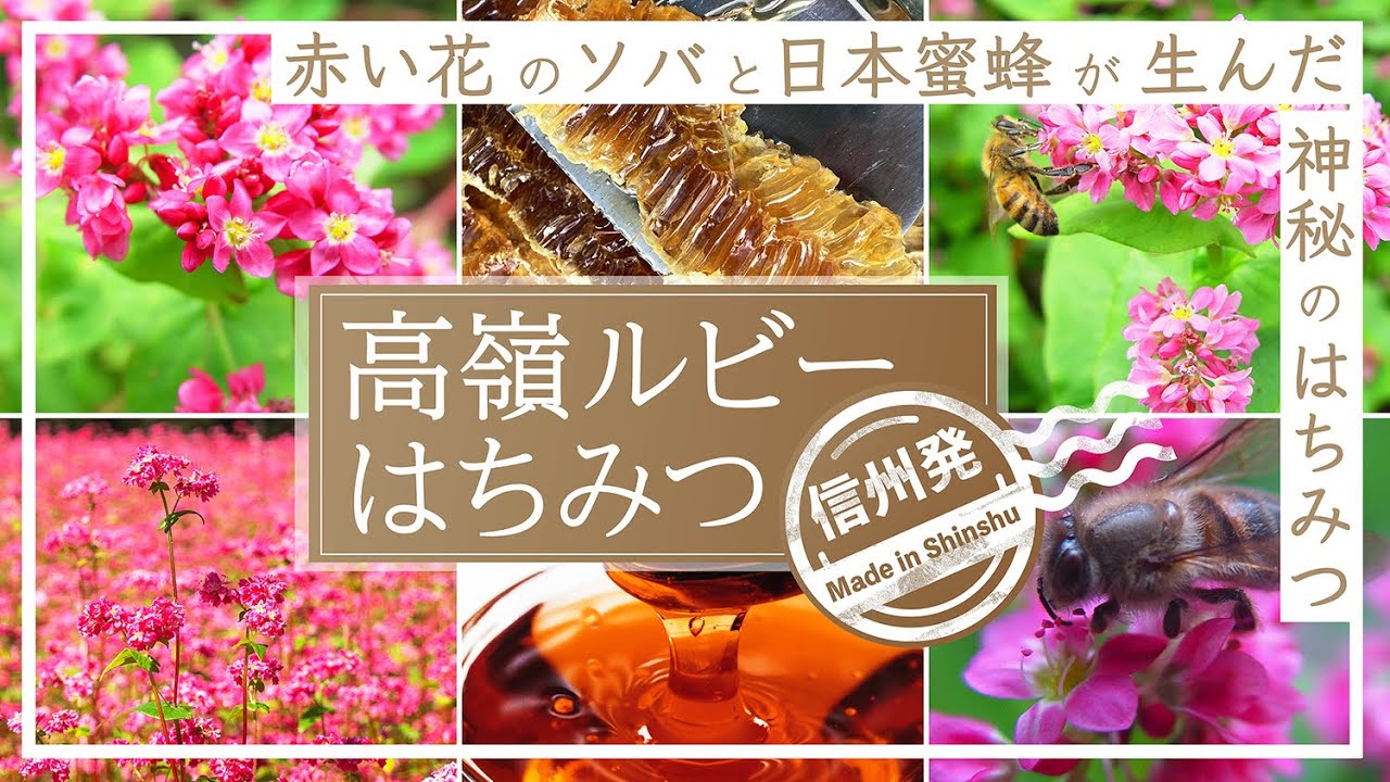 タカノハートワークス
