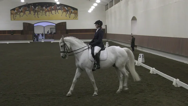 Tatyana Mroz and Fourth Dimension Dressage 4-1