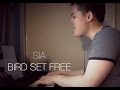 Sia - Bird Set Free (Cover)