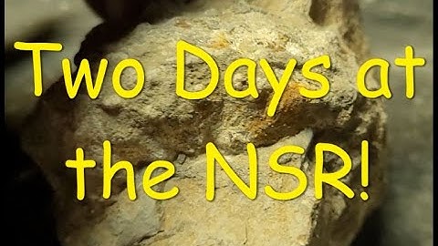 NSR Fossils and more Fossils 28