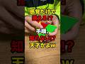 やり方知らないサンゴが揃える!ホントに出来るのか?! #pyraminx #gancube # #yamicubes