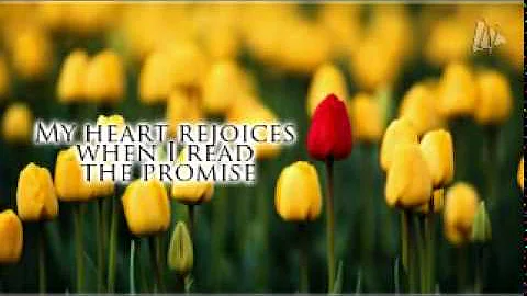 My Redeemer Is Faithful and True - Bobby Michaels