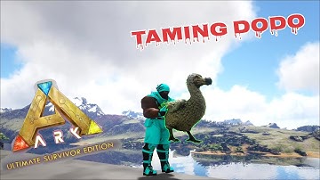 How To Taming Dodo In Ark Ultimate Mobile Edition : The Island