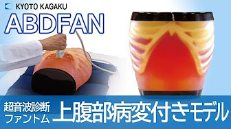 医療画像用ファントム Youtube