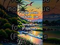 #fé #deusnuncafalha #jesuschrist #deuscuidademim #frases #frasemotivacao #gratidão #motivacional