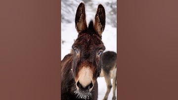 PGYTECH CFexpress CreateMate Card Reader Case: Speed & Security Combined!