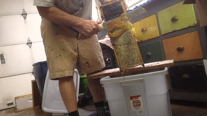 Extracting honey