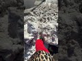 no walk ways in nyc