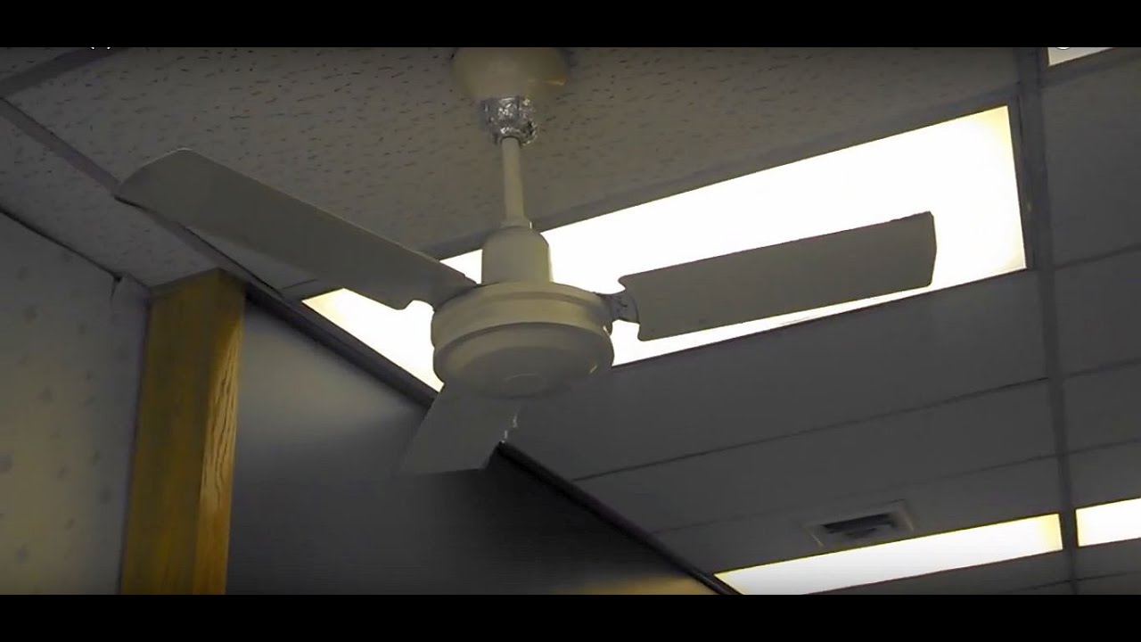 Safer (Airmaster) & Wing TAT Ceiling Fans in a