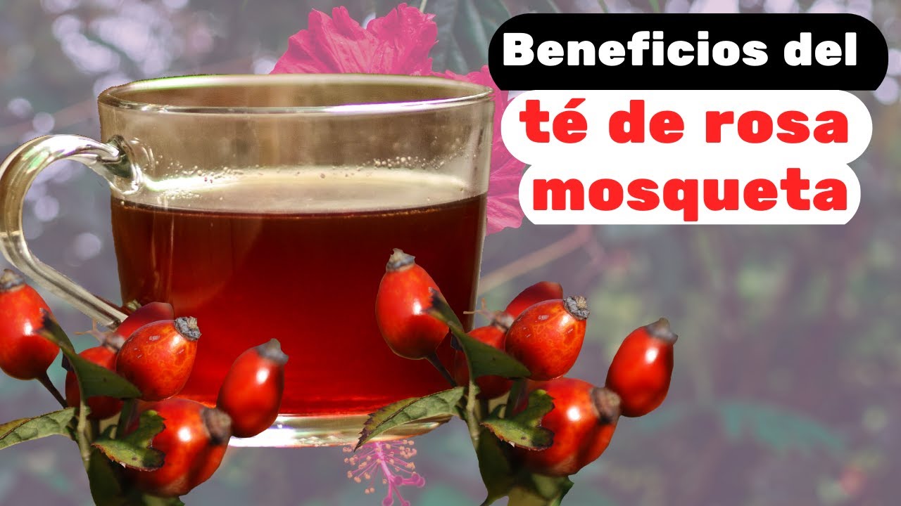 Te Rosa Descubre los sorprendentes beneficios del té de rosa mosqueta para tu ...