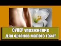 Уйдут миомы, кисты, простатит!  СУПЕР упражнение для органов малого таза