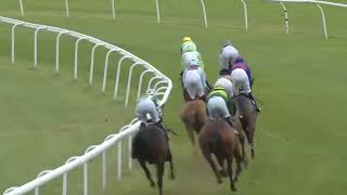 Horse Racing Death 86 - Steel An Icon at Bath Racecourse screenshot 2
