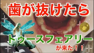 歯が抜けた！歯の妖精トゥースフェアリーってなに！？
