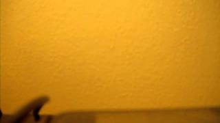 282.AVI