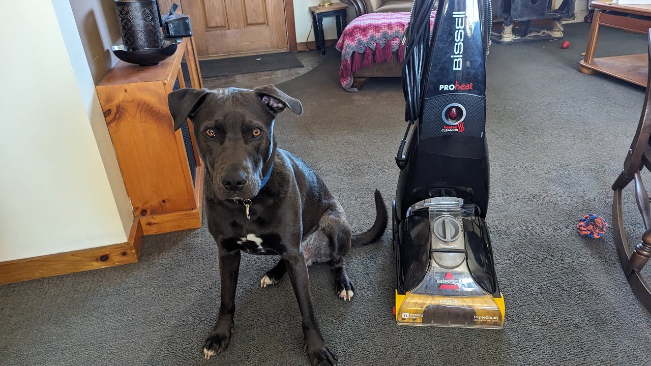 Bissell Carpet Cleaner Belt Replacement YouTube