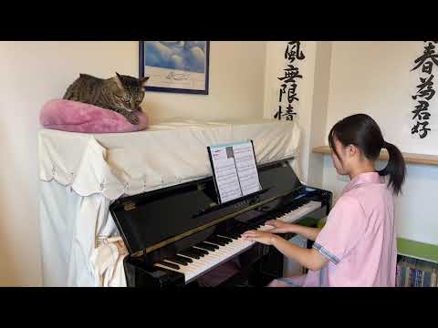 雨降りお月さん　　　　　　　　　　　　　　　ピアノ　〜猫と一緒〜