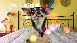 Marlene Goldberg Information