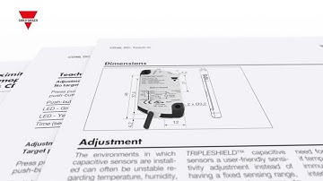 CD46 - Thin profile capacitive level sensor