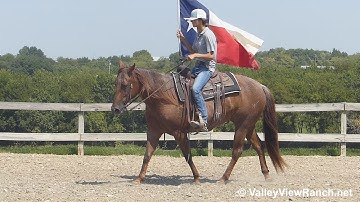 RR Smart Pep - carrying the flag! - ValleyViewRanch.net
