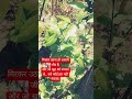 रहिमन इस संसार में भांति-भांति के लोग 🔥 | Life Reality Shorts #shorts