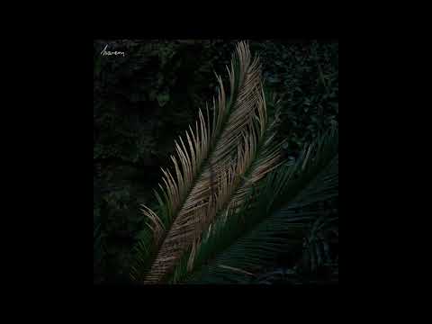 Harem Til You Can T Get Enough