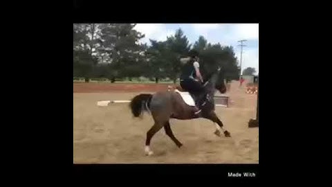 Multiple intelligence kinesthetic