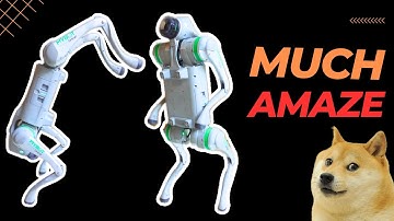 I tried EVERY function of this robot dog