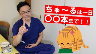 猫のおやつ！ちゅ～るは1日何本まであげて良いの？？獣医師ITOが解説