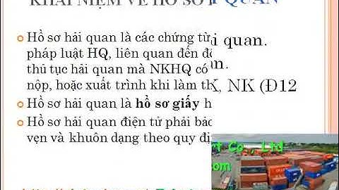 Bản chụp là gì trong hồ sơ hải quan