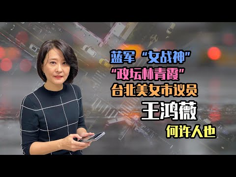 藍軍“女戰神” “政壇林青霞” 台北美女市議員王鴻薇何許人也？@微风两岸