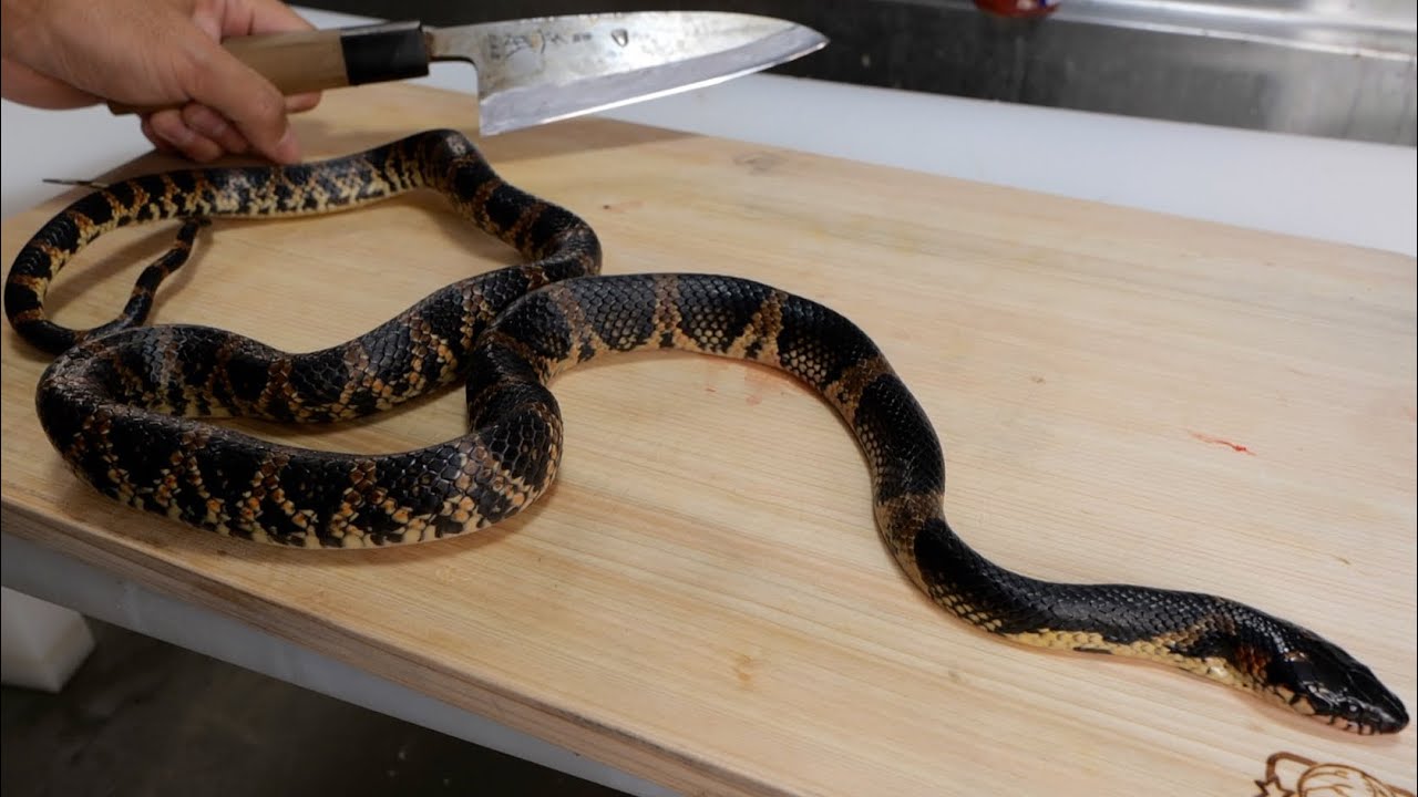 素潜り漁師マサルプロデュース「漁師の牛刀」　牛刀18cm 素潜り漁師マサル『オリジナル包丁』発売決定！ | 株式会社MOGURA