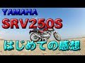 【SRV250S 納車〜はじめての感想】ファーストタッチの感想