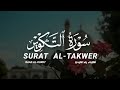سورة التكوير كاملة القارىء رعد الكردي SURAT AL TAKWER RAAD AL KURDY 
