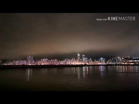 The Nights in HONG KONG