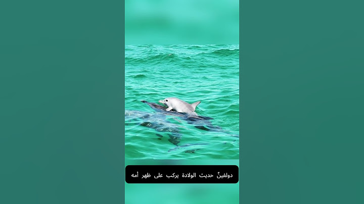 هل لديك تعليق لتضيفه على هذه الصور؟ #اكسبلور #صور_نادرة #عربي #fyp #arabtiktok #arabic #صور#عالم
