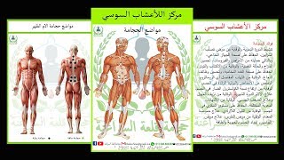 مواضع الحجامة لجميع الامراض