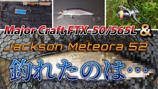 渓流ルアー】下手くそがNewロッドと「最強」と謳われたルアーで釣れた