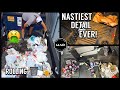 Deep Cleaning a Filthy REPO Disaster Toyota! | Satisfying Trashed Disaster Detailing Transformation!