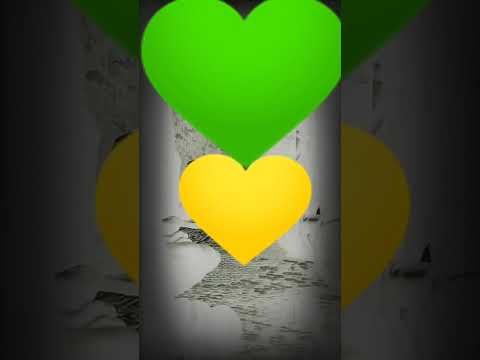 جدبة شيخ فتحي وصهيب