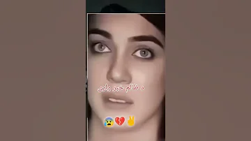 Dolphin Ayan Viral Video 