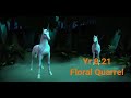 Floral quarrel main hogwarts mystery  year 821  cutscenes no commentary