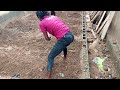 My Learner with the farming skill. Proud Teacher