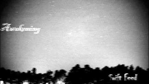 Swift Feed -Awakening (Пробуждение)