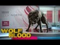 WOLFBLOOD S5E7 - Torn (full episode)