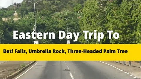 Trip to Boti Falls, Umbrella Rock, 3 Headed Palm Tree, and Eco Park in the Eastern Region of Ghana