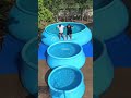 Mini Swimming Pool For Home 🏡🏠 #miniswimmingpool #swimmingpool #gadgets