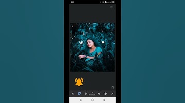 snapseed editing photos || Snapseed shorts photo editing || 30 second photo editing || #Shorts #shot