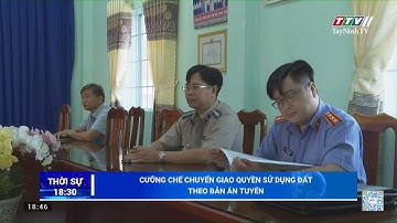Cưỡng chế chuyển giao quyền sử dụng đất theo bản án tuyên | NÓNG VÀ NỔI BẬT | TayNinhTV