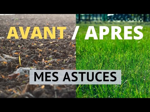 Vidéo: Comment Faire Une Pelouse De Vos Propres Mains? Appareil De Pelouse, Instructions étape Par étape Pour Une Croissance Rapide De L'herbe à Gazon Dans Le Pays Au Printemps, Technolog