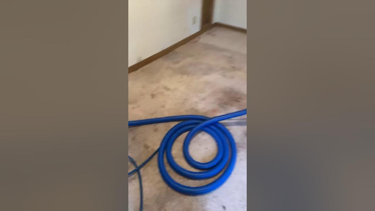 Carpet cleaning Des Moines Iowa flash service group YouTube